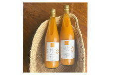 【7営業日以内発送】濃厚 びわネクター 720ml×2本 ／ 飲料 ジュース びわ ビワ 枇杷 フルーツ ネクター 長崎県 長崎市