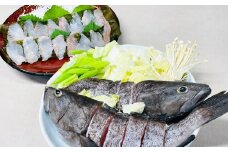 長崎の森で育てた『幻のクエ』 【セット】昆布〆 刺身用 5～6人前、鍋用 5～6人前 (1kg～2kg前後×2) ／ 海鮮 魚介 高級魚 刺身 刺し身 鍋 お鍋 セット クエ 養殖 長崎県 長崎市
