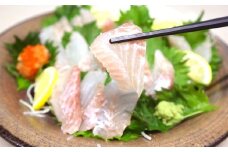 長崎の森で育てた『幻のクエ』 【セット】刺身用 5～6人前、鍋用 5～6人前（1kg～2kg前後×2）／ 計2kg～4kg前後 海鮮 魚介 高級魚 刺身 鍋 セット クエ 養殖 長崎県 長崎市