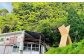 長崎の森で育てた『幻のクエ』 【セット】刺身用 5～6人前、鍋用 5～6人前（1kg～2kg前後×2）