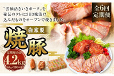 【全6回定期便】自家製焼豚 350g×2個セット ／合計4.2kg (12個) 惣菜 豚 豚肉 自家製 秘伝のタレ 雲仙活きいきポーク 長崎県 長崎市