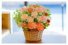 【全12回定期便】 ピンクバラと季節のアレンジメント フラワー ／ 花 お花 花束 フラワー インテリア ピンク 薔薇 長崎県 長崎市