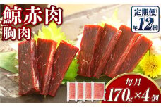 【全12回定期便】 鯨 赤肉 胸肉 170g×4個セット ／ 鯨 くじら クジラ 鯨肉 鯨文化 くじら文化 イワシ鯨 厳選 長崎県 長崎市