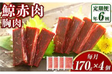 【全6回定期便】 鯨 赤肉 胸肉 170g×4個セット ／ 鯨 くじら クジラ 鯨肉 鯨文化 くじら文化 イワシ鯨 厳選 長崎県 長崎市