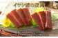 【全6回定期便】 鯨 赤肉 胸肉 170g×4個セット