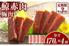【全3回定期便】 鯨 赤肉 胸肉 170g×4個セット ／ 鯨 くじら クジラ 鯨肉 鯨文化 くじら文化 イワシ鯨 厳選 長崎県 長崎市