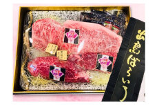 【長崎和牛】出島ばらいろ 特上 サーロイン 約200g～300g×1 & ヒレ ステーキ 約120g×2 ／ 長崎和牛 和牛 国産 お肉 肉 牛肉 長崎県 長崎市