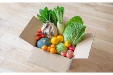 直売所おすすめ！旬野菜セット 5～10品目 ／ やさい 旬 野菜 詰合せ 詰め合わせ 新鮮 産地直送 ふるさと  おまかせ お楽しみ きんかい味彩市 長崎県 長崎市