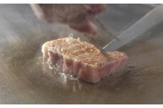 出島ばらいろ 特上 サーロイン 約400g～約500g ヒレステーキ約120g×2 ／ 長崎和牛 和牛 国産 お肉 肉 牛肉 焼肉 焼き肉 BBQ バーベキュー 長崎県 長崎市