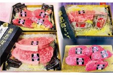【全3回定期便】長崎和牛 出島ばらいろ レギュラータイプH ／ 和牛 お肉 肉 牛肉 国産 ステーキ ヒレ サーロイン ブロック あぶり焼 長崎県 長崎市