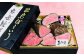 長崎和牛 出島ばらいろ ミスジまたはヒウチ 霜降りあぶり焼き 約600g