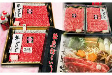 【全2回定期便】長崎和牛 出島ばらいろ レギュラータイプ M ／ 和牛 国産 肉 牛肉 お肉 サーロイン モモまたはウデ すき焼き しゃぶしゃぶ 長崎県 長崎市