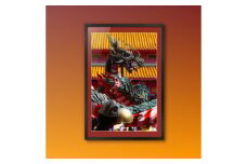 【額装写真】【孔子祭 玉追いの龍】画寸A3ノビサイズ［M11-3176] ／ 長崎くんち おくんち  龍踊り 孔子祭 思い出 写真 文化 歴史 お祭り インテリア 長崎県 長崎市