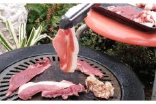 【7営業日以内発送】猪肉 切り落とし 200g×3 ／ 猪 イノシシ いのしし ジビエ 細切れ 長崎県 長崎市