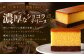 【全6回定期便】長崎カステリーヌショコラ 1本 