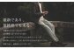 【ワンタック／82】セミオーダー トラウザーズ 1本 （葛利毛織 タスマニアンブレンド／グレンチェック・ストレートライン）