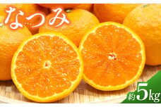 希少品種 なつみ 約5kg【数量限定】 みかん ミカン 蜜柑 果物 フルーツ 南津海 甘み 濃厚 【2025年4月上旬-5月下旬発送予定】