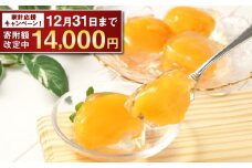 【期間限定！～12月31日まで寄附額改定】【14営業日以内発送】茂木ビワゼリー10個 ／ ゼリー ぜりー フルーツゼリー 果実ゼリー びわ ビワ 枇杷 スイーツ デザート 長崎県産 長崎県 長崎市