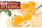 茂木ビワゼリー10個