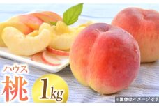 ハウスもも 約1kg（品種おまかせ）旬の桃 桃 もも 旬 果物 くだもの フルーツ 果実 デザート 【2025年5月下旬-6月上旬発送予定】