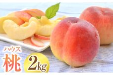 ハウスもも 約2kg（品種おまかせ）旬の桃 桃 もも 旬 果物 くだもの フルーツ 果実 デザート 【2025年5月下旬-6月上旬発送予定】