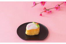 こもも 6個入 手作り 桃かすてら かすてら カステラ こもも お菓子 菓子 個包装 小分け ひな祭り 桃の節句 ギフト 贈答 贈り物 長崎 スイーツ デザート 洋菓子 和菓子 和洋菓子 お土産 白水堂 九州