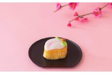 こもも 12個入 手作り 桃かすてら かすてら カステラ お菓子 菓子 個包装 小分け ひな祭り 桃の節句 ギフト 贈答 贈り物 長崎 スイーツ デザート 洋菓子 和菓子 和洋菓子 お土産 白水堂 九州