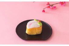 こもも 3本入 手作り 桃かすてら かすてら カステラ こもも お菓子 菓子 個包装 小分け ひな祭り 桃の節句 ギフト 贈答 贈り物 長崎 スイーツ デザート 洋菓子 和菓子 和洋菓子 お土産 白水堂 九州