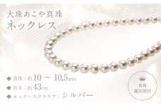 【真珠鑑別書付】【大珠】あこや真珠（10－10.5mm珠）ネックレス ／ 真珠 パール ジュエリー アクセサリー 長崎県 長崎市