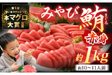 本マグロ 柵 大賞受賞 みやび鮪 赤身 計約1kg (約10～11人前) ／ 小分け 赤身 ブロック クロマグロ 鮪 まぐろ さく マグロ 柵 刺し身 刺身 国産 本まぐろ 本鮪 冷凍 魚 魚介 まぐろ丼 まぐろ漬け丼 海鮮丼 おすすめ 長崎市