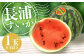 長浦すいか（M玉以上）1玉【2025年6月上旬～6月下旬迄発送予定】