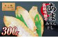 高級味醂干 あま 300g おつまみ みりん干し 魚 干物 肴 つまみ おつまみ 珍味 長崎 みりん干し