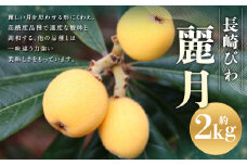 【数量限定】 長崎びわ 麗月 計約2kg ／ びわ 枇杷 ビワ 果物 くだもの フルーツ 長崎県 長崎市