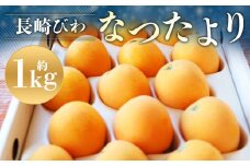 【数量限定】 長崎びわ なつたより 赤秀 計約1kg 【2025年5月上旬～2025年5月下旬迄発送予定】 びわ 枇杷 ビワ 果物 くだもの フルーツ 長崎県 長崎市
