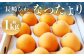 【数量限定】 長崎びわ なつたより 赤秀 計約1kg
