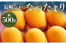 【数量限定】 長崎びわ なつたより 赤秀 計約500g 【2025年5月上旬～2025年5月下旬迄発送予定】 びわ 枇杷 ビワ 果物 くだもの フルーツ 長崎県 長崎市