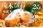 【数量限定】 長崎 茂木びわ（枝付き） 赤秀 計約2kg