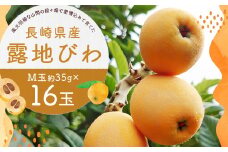 長崎県産 露地びわM 16玉入り ／ 1玉約35g 計約560g びわ ビワ フルーツ 果物 M玉 初夏 国産 長崎県 長崎市