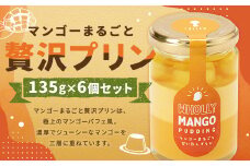 【浜んまちPUDDING】 マンゴーまるごと贅沢プリン 135g×6個セット ／ プリン ぷりん デザート フルーツ マンゴー セット お土産 冷凍 長崎県 長崎市 