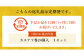 【全12回定期便】【文明堂】カステラ巻 24個入 スイーツ お菓子 菓子 和菓子 洋菓子 デザート