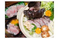 長崎の森で育てた『幻のクエ』【ハーフセット】 刺身用 2〜3人前・鍋用 2～3人前（1kg～2kg前後）／ 海鮮 魚介類 クエ  刺身 鍋 高級魚 長崎産