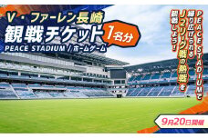 【9月20日開催】V・ファーレン長崎 PEACEスタジアム （ホームゲーム） 観戦チケット 1名分 V-VAREN J2リーグ サッカー チケット