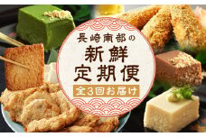 【全3回定期便】 長崎南部の新鮮定期便 蒲鉾 人参 ゴボウ イワシ トビウオ すりみ揚げ ごま豆腐 胡麻豆腐 豆腐 胡麻 ごま ゴマ豆腐 ギフト 贈答 正月 おせち 簡単 精進 名物 お取り寄せ 魚 魚介類 カマス