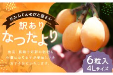 【訳あり】長崎産 茂木びわ「なつたより」4L（6粒入り）【2025年5月上旬～6月下旬迄発送予定】 ／ びわ 枇杷 果物 フルーツ 食品 九州 訳アリ わけあり 理由あり 長崎県 長崎市 常温