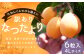 【訳あり】長崎産 茂木びわ「なつたより」4L（6粒入り）