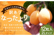 【受付終了間近！！】 【訳あり】長崎産 茂木びわ「なつたより」2L（12粒入り）【2025年5月上旬～6月下旬迄発送予定】 ／ びわ 枇杷 果物 フルーツ 食品 九州 訳アリ わけあり 理由あり 長崎県 長崎市 常温