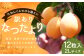 【訳あり】長崎産 茂木びわ「なつたより」2L（12粒入り）