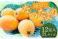 長崎 茂木びわ 『なつたより』 2L 計12玉