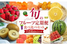 旬のフルーツセット 季節により厳選した果物を2品目詰め合わせ 詰め合わせ 果物 くだもの ふるーつ 旬 詰合せ 新鮮 セット ダイコー青果 長崎