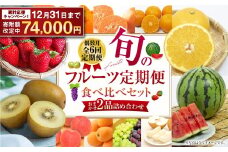 【期間限定！～12月31日まで】年6回定期便（偶数月配送） 旬のフルーツ定期便 食べ比べセット 季節により厳選した果物を2品目詰め合わせ 果物 くだもの